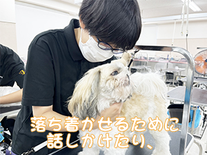 １年生のトリミング実習♪